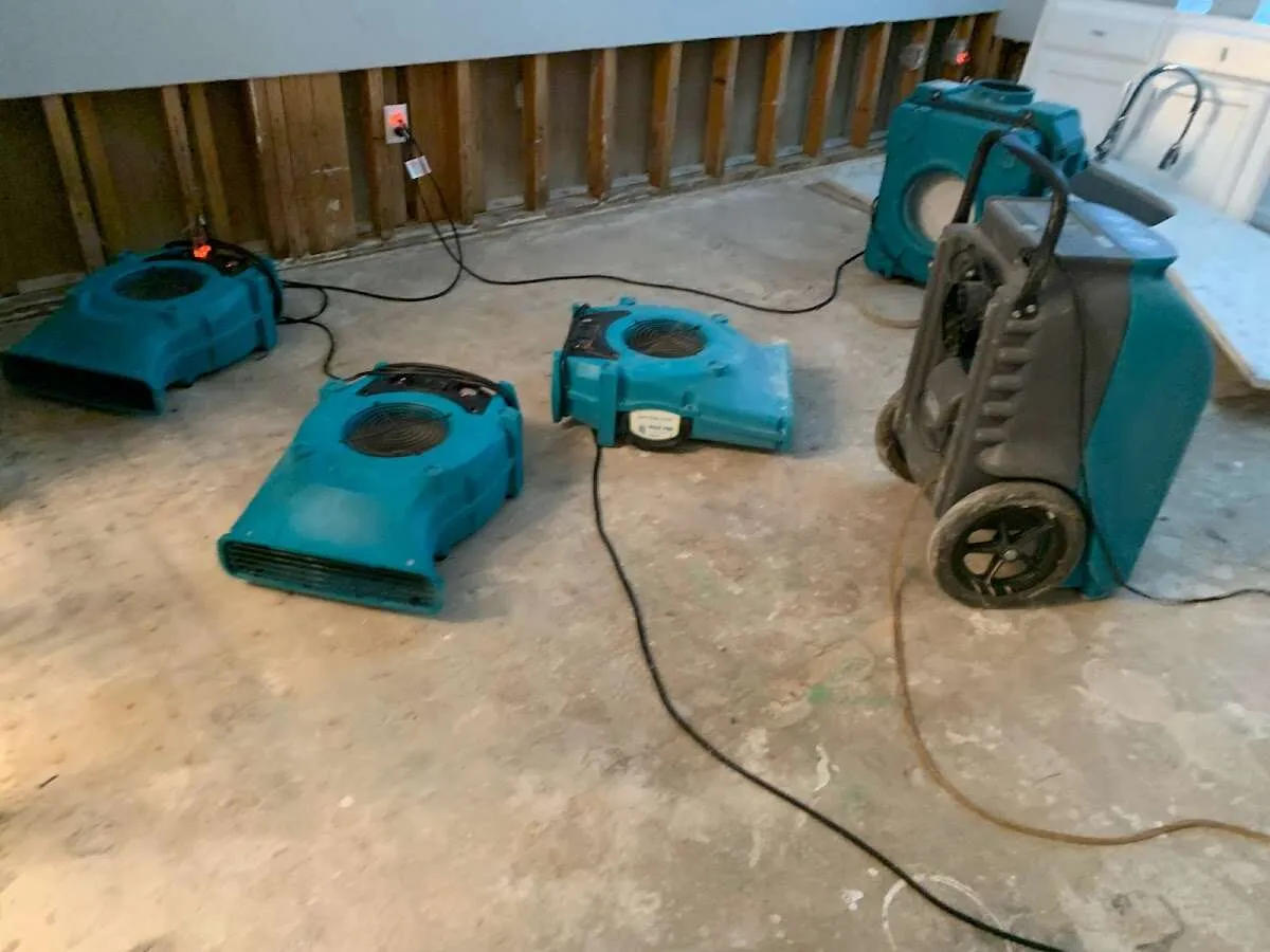 Water Mitigation Services in Freeport, IL